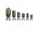 Beer Fermentation - DBB4008