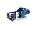 Rotary Lobe Pump - BRP3002
